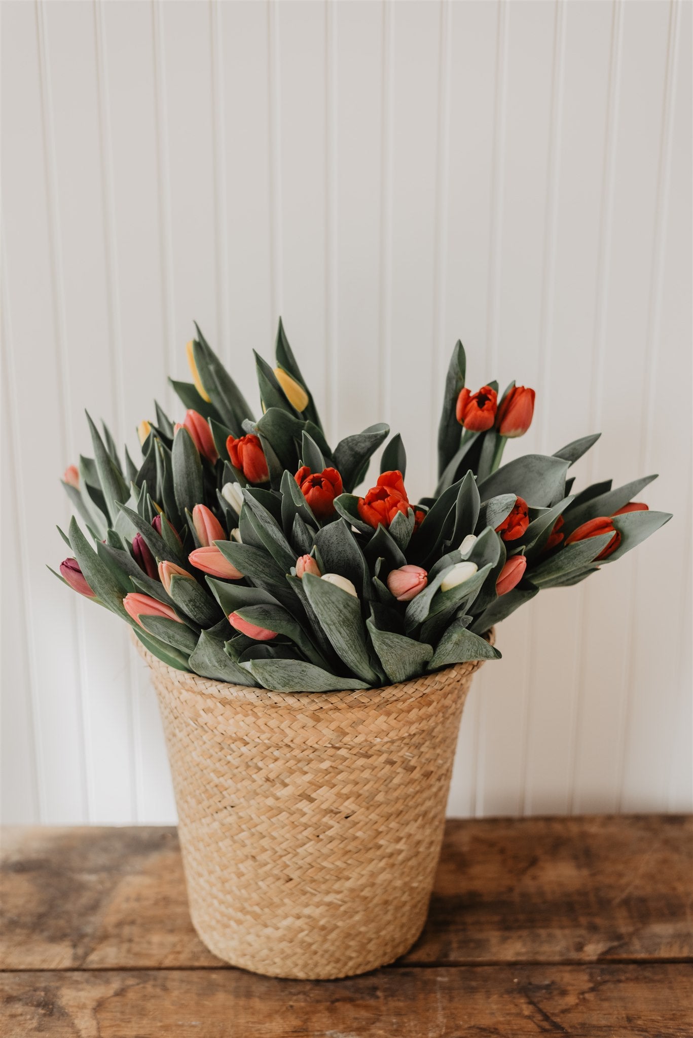 Bouquet de Tulipes Canadiennes